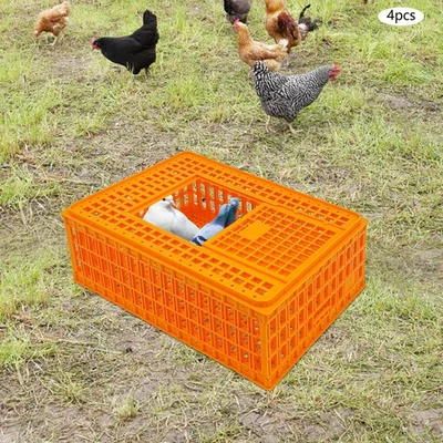 4 peças de gaiola de transporte de frango de plástico, transportador de frango, caixa de cesta para aves - Imagem 1 de 4