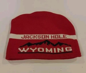 GAP Kids Jackson Hole Wyoming Ski Beanie Red Blue Fleece Lined Child Sz Med - Picture 1 of 5
