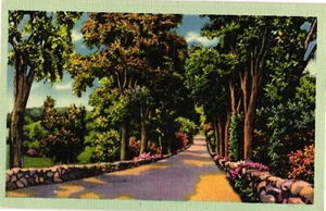 Alte unbespielte Postkarte LANDSTRASSENLANDSCHAFTEN - Bild 1 von 2