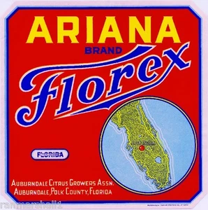 Impresión de etiqueta de caja de cítricos naranja Auburndale Florida Ariana Florex - Imagen 1 de 1