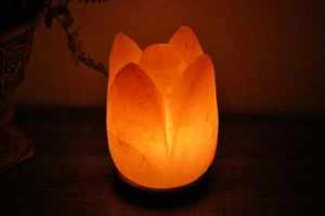 Himalayan Pink Salt Lotus Flower Shape Lamp, Dimmer Switch, Night Light, 8" - Picture 1 of 5