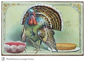 Thanksgiving PC (DPO) 1908 Mines, Blair Co. PA Chromolithograph Embossed Turkey - Imagen 1 de 2