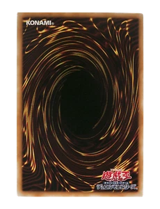 ST13-JP039 - Yugioh - Japanese - Call of the Haunted - Common - Picture 1 of 1