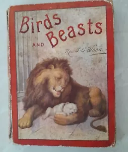 Birds And Beasts by Reverend J.G Wood Vintage - Picture 1 of 15
