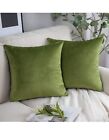  Pack of 2 Velvet Decorative Throw Decorative Pillow 18" x 18", Pack of 2 Green