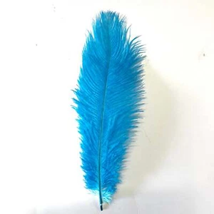 Ostrich Drab Feather 27-32cm - Aqua *Seconds* Pack of 5 - Picture 1 of 3