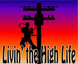Livin' the high life. Reflective/Matte Vinyl Decal Sticker, or Magnet. Power - Picture 1 of 3