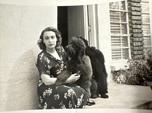 1940s Lot of 5 STANDARD BLACK LABRADOODLES Vintage Snapshot Photos Labradoodle - Picture 1 of 7