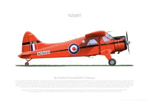 DHC DHC-2 BEAVER ZK-CKH NZ6001 1996 - A3+ Profile Print - Picture 1 of 4