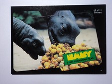 1985 BABY ( THE MOVIE ) - STICKER CARD  ( 3 OF 11 )