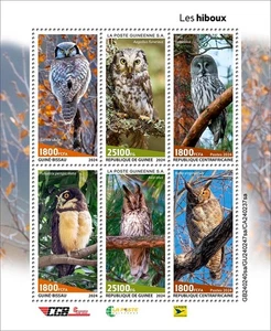 Owls MNH Stamps 2024 Central African Guinee Bissau M/S - Picture 1 of 1