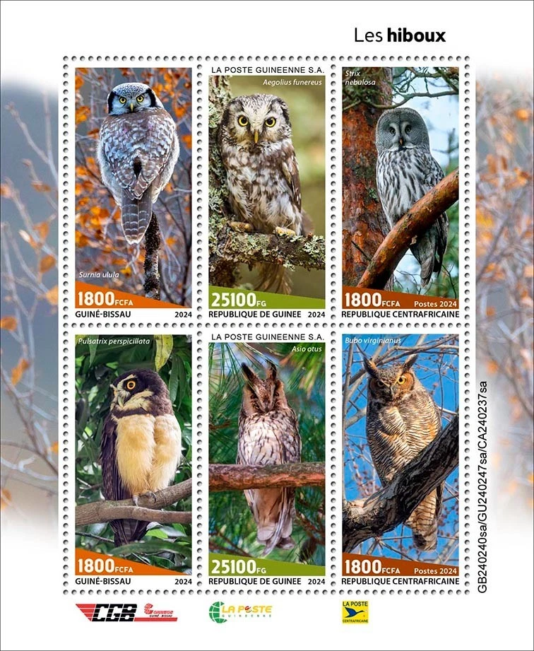 Owls MNH Stamps 2024 Central African Guinee Bissau M/S - Image 1 of 1