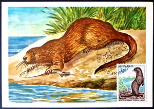 Monaco 1970 Sea Animals Marine Life Otter Stamp - FIRST DAY POSTCARD - Picture 1 of 3