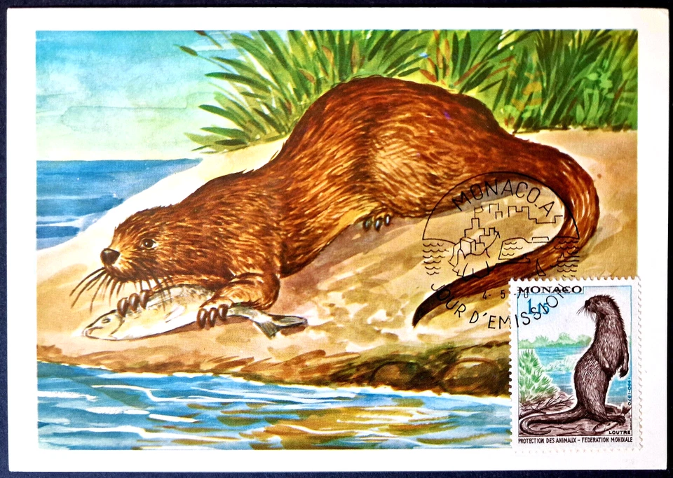 Monaco 1970 Sea Animals Marine Life Otter Stamp - FIRST DAY POSTCARD - Image 1 of 3