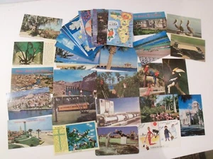 FLORIDA 50+ UNBENUTZTE POSTKARTEN LOT FARBCHROM POINTS OF INTEREST PLUS. FL. #486 - Bild 1 von 13