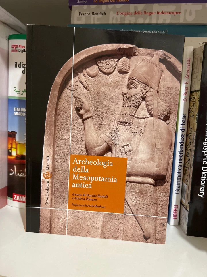 ARCHEOLOGIA DELLA MESOPOTAMIA ANTICA - Immagine 1 di 1