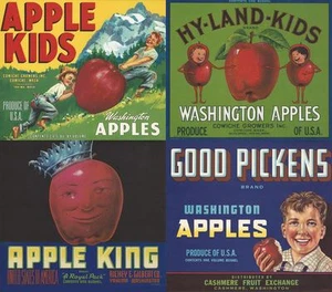 JUEGO DE 4 DIVERTIDAS ETIQUETAS ORIGINALES DE CAJA DE WASHINGTON APPLE DE LOS AÑOS 40 CACHEMIR/COWICHE/YAKIMA - Imagen 1 de 5