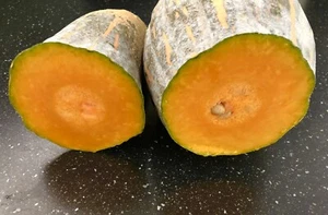 Trombone Pumpkin Gramma 15 X seeds Organic - Picture 1 of 4