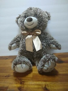 FAO SCHWARZ "Bears That Care" braun 18 Zoll Teddybär Plüsch mit Halsschleife 2018  - Bild 1 von 6