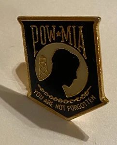 POW * MIA HATPIN - YOU ARE NOT FORGOTTEN PIN - FREE SHIPPING - Picture 1 of 2