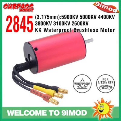 SURPASSHOBBY 2845 Series Brushless Motor 3,175 mm für Traxxas Trx4 1/12 RC Car - Bild 1 von 4