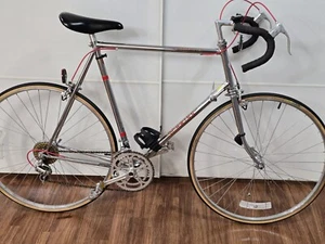 1981 Schwinn Voyageur 11.8 Full Chrome 12 Speed 63cm Road Bike - Picture 1 of 17