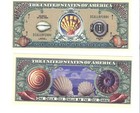 Dollar  SEA  SHELLS  MEERESMUSCHELN.