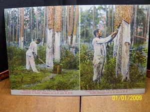 1910-20er Afroamerikaner Tropfgummi Chipping Kiefer Terpentin GA Georgia - Bild 1 von 2