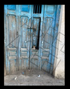 Cat Art Sample Wallpaper Background Desktop Digital Image Picture Photo-05 - Bild 1 von 3