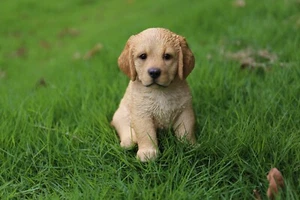 Golden Retriever Garden Statue Small Pet Pals Puppy Garden Yard Flowerbed Decor - Picture 1 of 6
