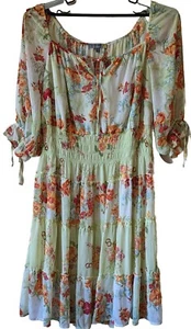 Figueroa Flower Women's Multicolor Floral Dress Size 2X New - Picture 1 of 12