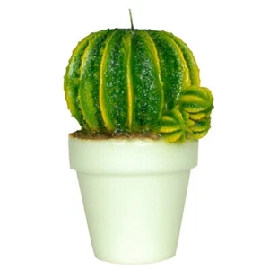 KERZE KAKTUS 24 CM PARAFFINWACHS, KUNSTKERZE, DEKORATION AUS ITALIEN, NEU - Bild 1 von 2