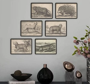 Renaissance Strange Animal Prints Antonio Tempesta Vintage Italian Wall Art - Picture 1 of 8