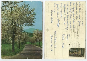 58095 - Baumblüte - Herzliche Pfingstgrüße - AK, gelaufen Dresden 19.6.1977 - Imagen 1 de 1