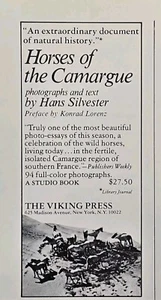 Pferde der Camargue von Hans Silvester Buch Wildpferde Vintage Printanzeige 1976 - Bild 1 von 4