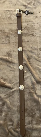 Florida State Seminoles Genuine Leather Collegiate Brown  Belt Size 30 Cover