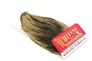 Whiting Farms Bugger Pack - Picture 1 of 57