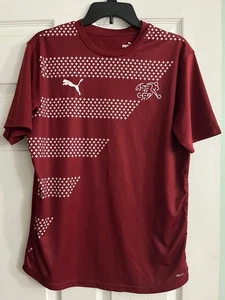 Puma Suiza Suiza Equipo de Fútbol Camiseta Hombre Grande - Imagen 1 de 5