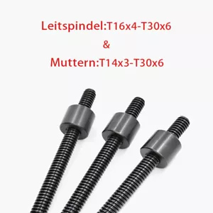 Guide spindles trapezoidal thread spindle D*Pitch T16x4-T30x6, nuts steel/brass - Picture 1 of 6