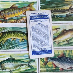 FRESHWATER FISH Brooke Bond Tea Cards 1960 Sold individually - Picture 1 of 12