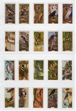 Sunlight Soap. British Birds and their Nests Cards 1961. Full Set of 20.