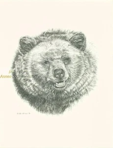 #135 BLACK BEAR portrait * wildlife art print * pen & ink drawing by Jan Jellins - Picture 1 of 1