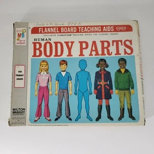 Tavola di flanella ausili didattici parti corpo umano Milton Bradley vintage 1971  - Foto 1 di 7