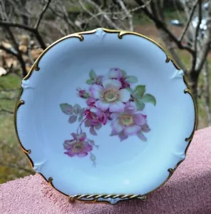 SCHUMANN ARZBERG BAVARIA GERMANY "WILD ROSE" SALAD PLATE - Picture 1 of 4