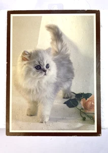 Vintage 70er Jahre Katze Kätzchen Wand oder Tischplatte Plakette Foto auf Pressbrett - Bild 1 von 8