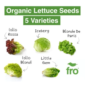 ORGANIC LETTUCE SEEDS - 5 VARIETY - SEEDS - NON-GMO - FAST UK DISPATCH ✅ - Picture 1 of 7