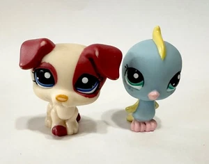 Littlest Pet Shop #1200 Jack Russell & #2044 Parrocchetto - Foto 1 di 3