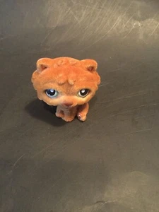 Littlest Pet Shop #332 Authentic Fuzzy Chow Chow - Picture 1 of 4