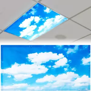 4 X 2 Feet Fluorescent Light Cover for Ceiling Classroom Magnetic Cubicle Shade - Picture 1 of 6
