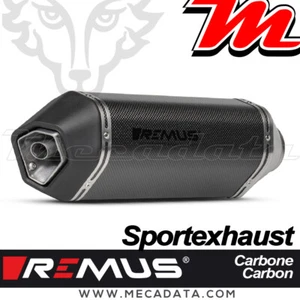 Demie-ligne Remus Sportexhaust Carbone DECAT Vespa GTS Super 300 HPE 2019-2020 - Imagen 1 de 2